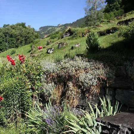 شقة بايم سي